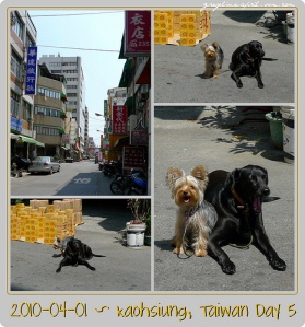 2010-04-01 ~ Kaohsiung, Taiwan Day 5